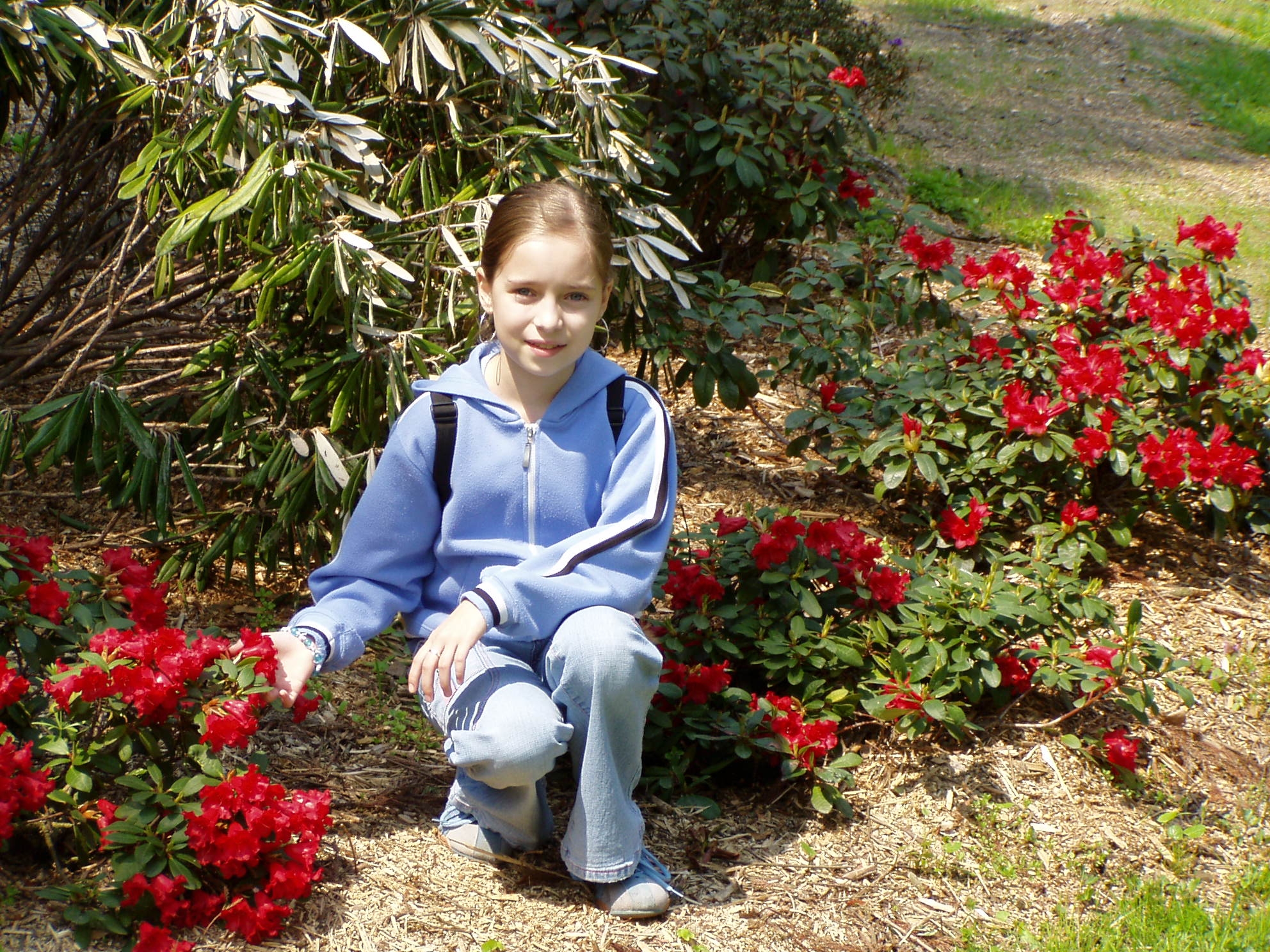 Arboretum